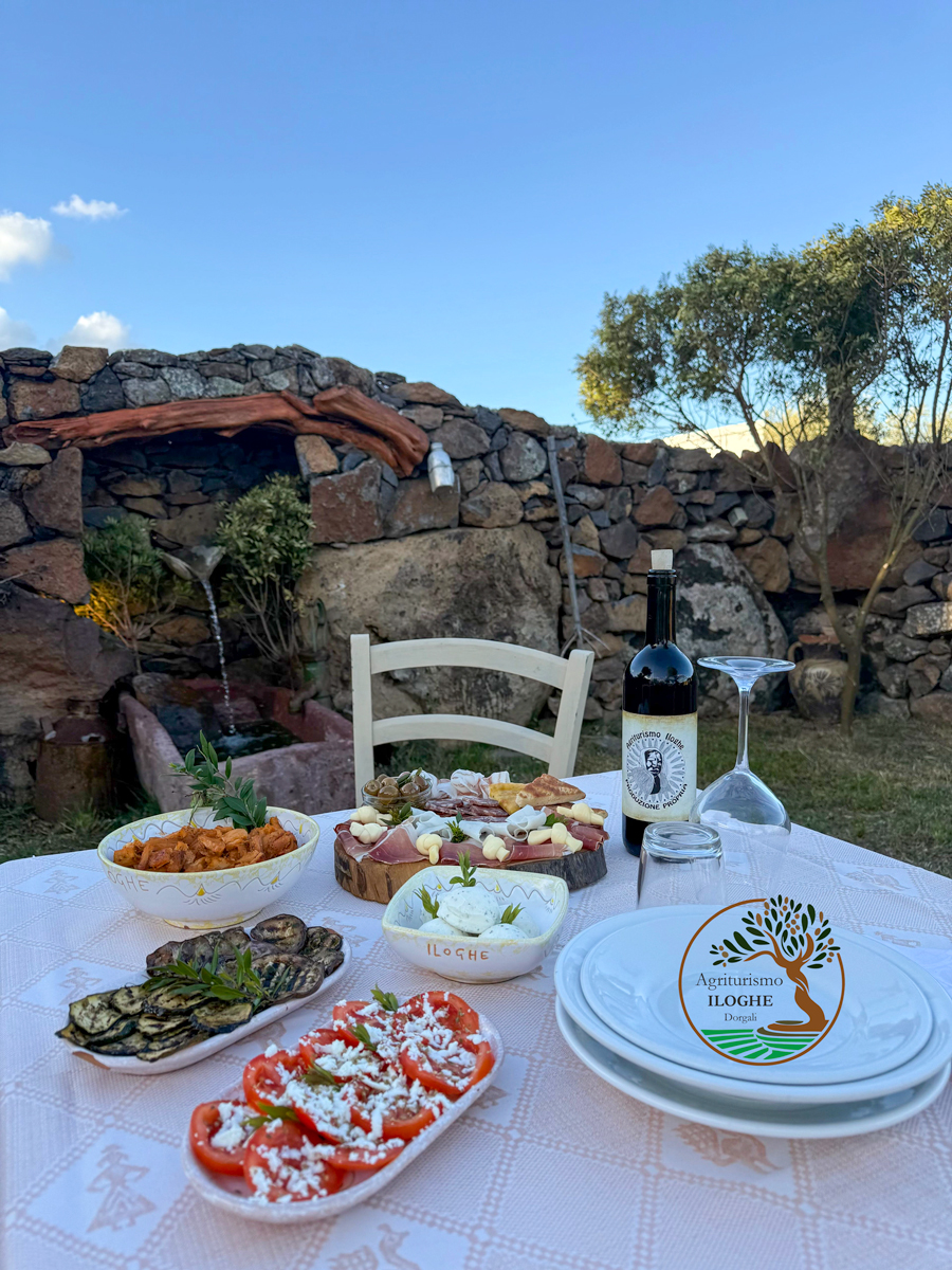 pranzo-iloghe-esterno Pranzo agriturismo iloghe antipasti esterno